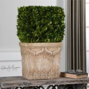 Boxwood, Hedge Planter