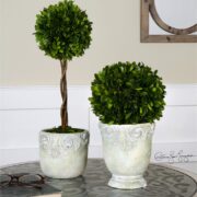 Preserved Boxwood, Ball Topiaries, S