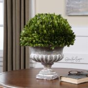 Preserved Boxwood, Garden Urn