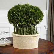 Preserved Boxwood, Willow Topiary
